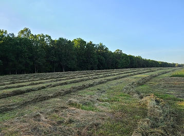 101549561_3534345959915571_6022123213662