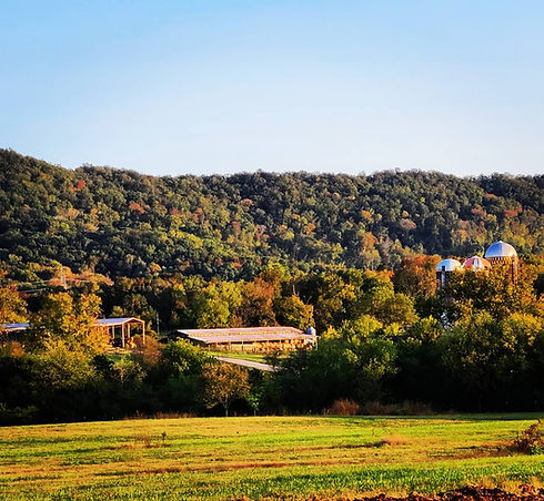 121127200_3936856369664526_2126778302576