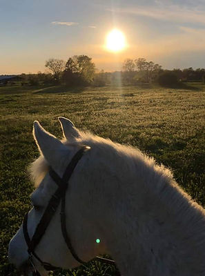 92251502_3380789151937920_12391649676015