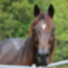 122572505_3975799359103560_7596946454815